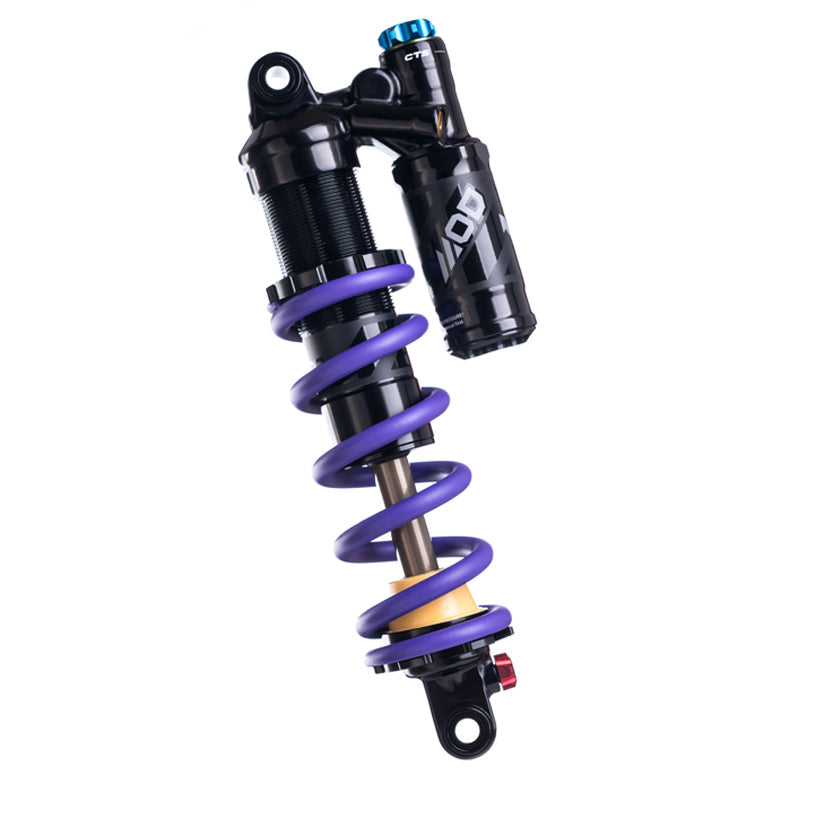 Rear Shock Absorber