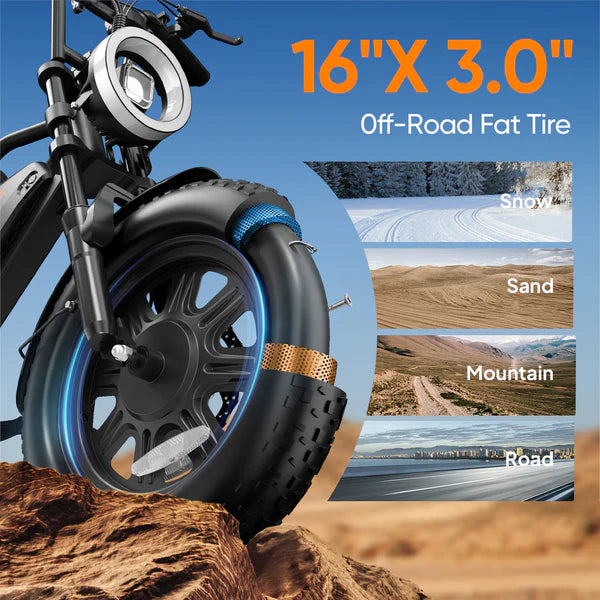 URLIFE T16 Electric Bike