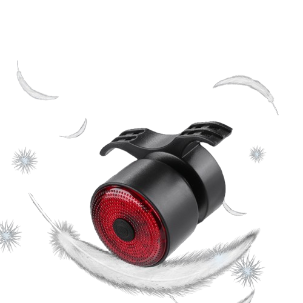 Induction bicycle tail light