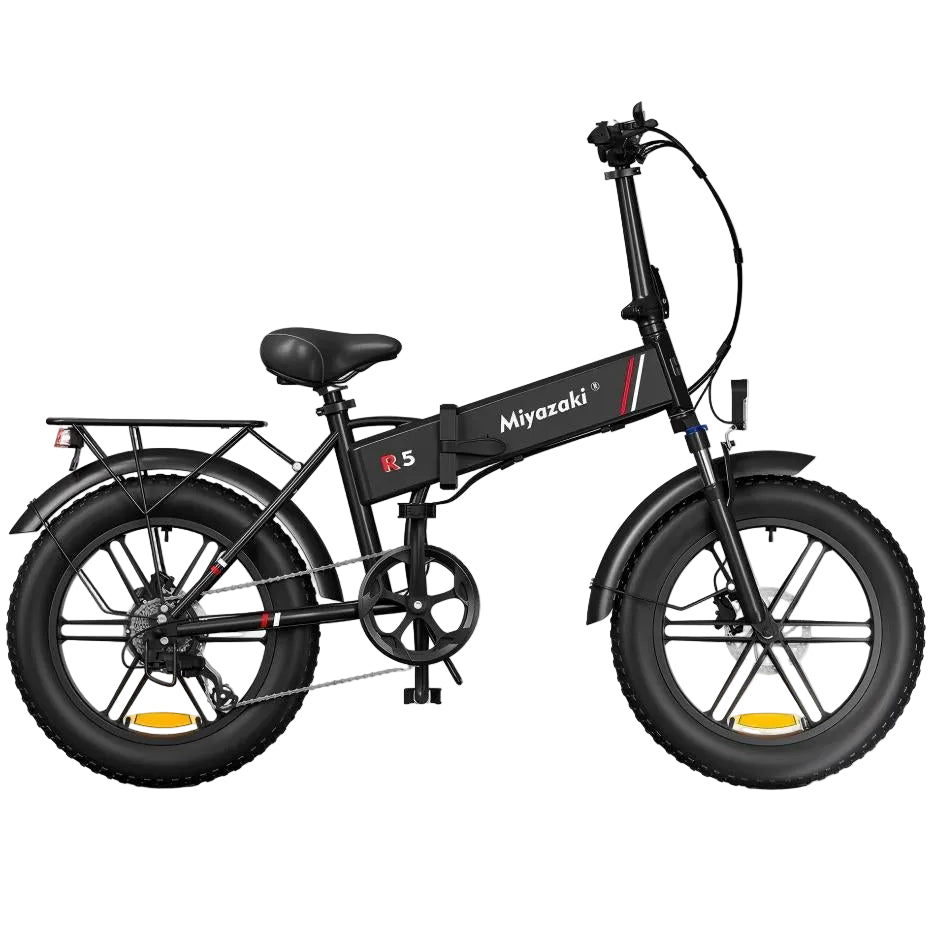 MIYAZAKI R5