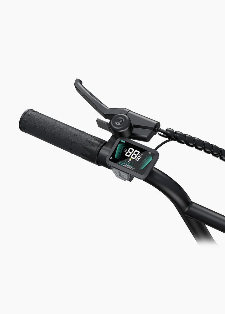 L20 Boost 250W 126 km Power-boost Torque Sensor Step-Thru E-bike