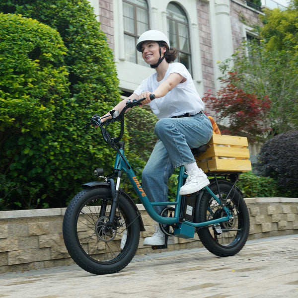 URLIFE E20 Fat Tire Commuting Electric Bike
