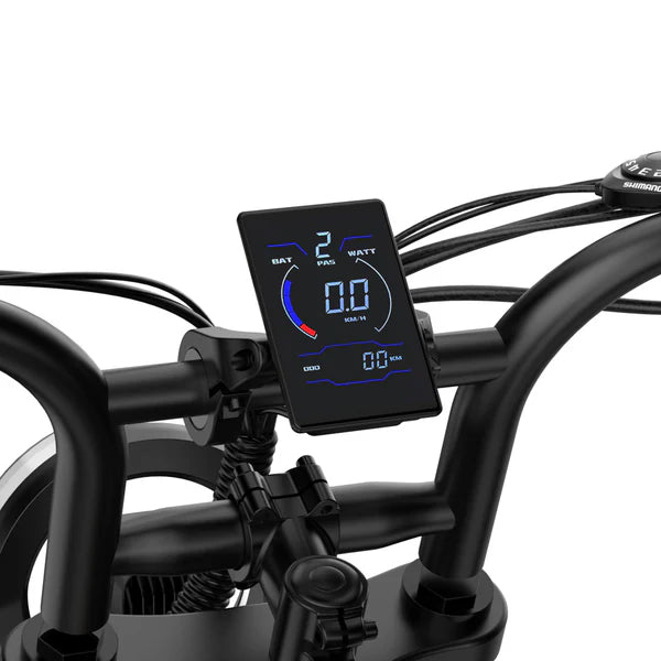 URLIFE T2 Fat Tire Electric Bike