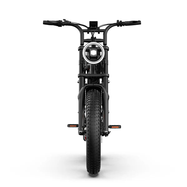 URLIFE T2 Fat Tire Electric Bike
