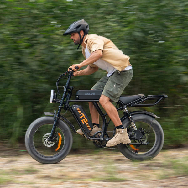 URLIFE T2 Fat Tire Electric Bike