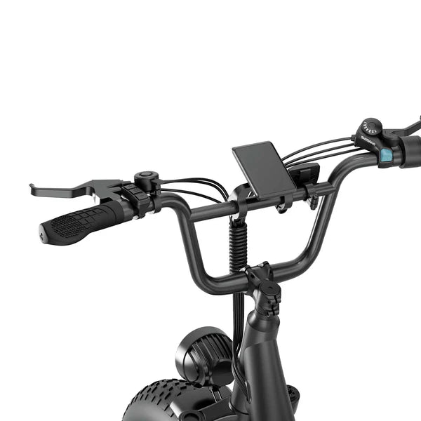 URLIFE E20 Pro Fat Tire Electric Bike