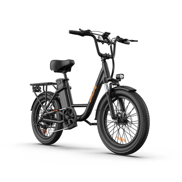 URLIFE E20 Fat Tire Commuting Electric Bike