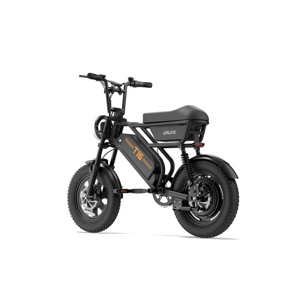URLIFE T16 Electric Bike