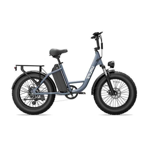 URLIFE E20 Pro Fat Tire Electric Bike