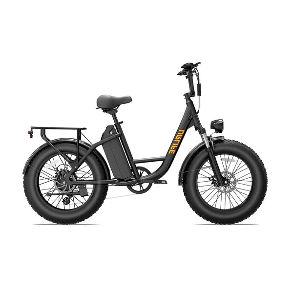 URLIFE E20 Pro Fat Tire Electric Bike