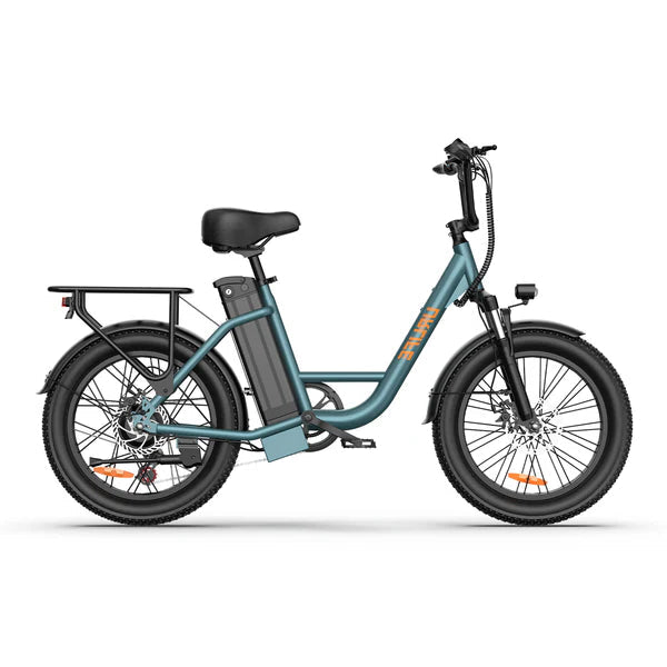 URLIFE E20 Fat Tire Commuting Electric Bike