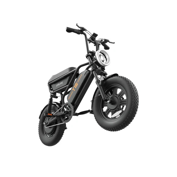URLIFE T16 Electric Bike
