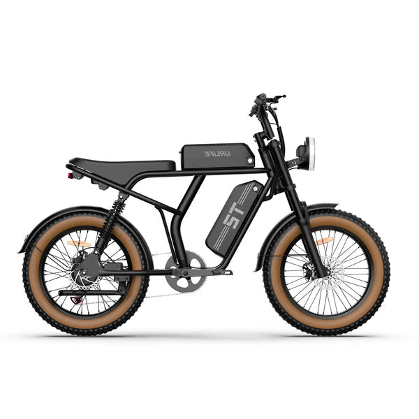 URLIFE T2 Fat Tire Electric Bike