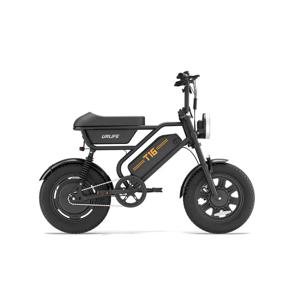 URLIFE T16 Electric Bike