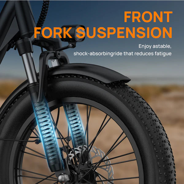 URLIFE E20 Fat Tire Commuting Electric Bike
