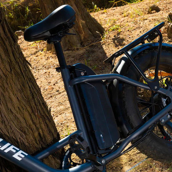 URLIFE E20 Pro Fat Tire Electric Bike