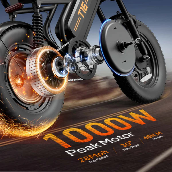 URLIFE T16 Electric Bike