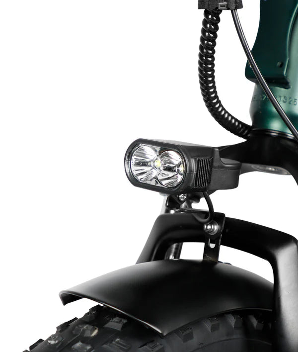 VICTRIP® T5S Foldable E-bike