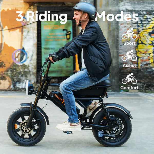 URLIFE T16 Electric Bike