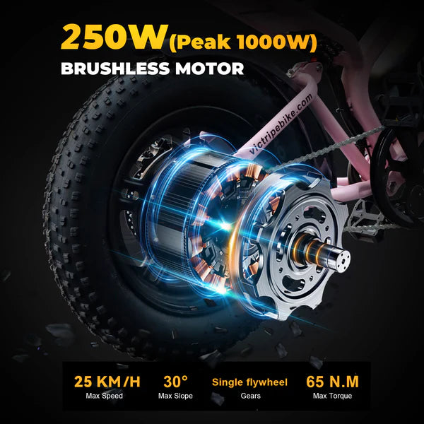 VICTRIP® R6 Pro Off Road Electric Bike Moped