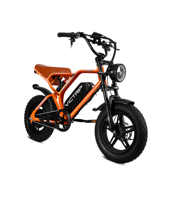 VICTRIP® R6 Pro Off Road Electric Bike Moped