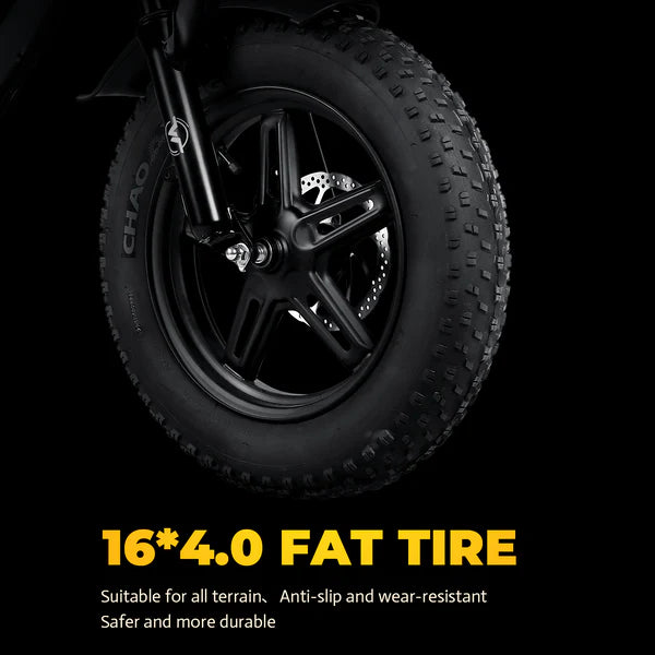 VICTRIP®R6 Off Road E-bike