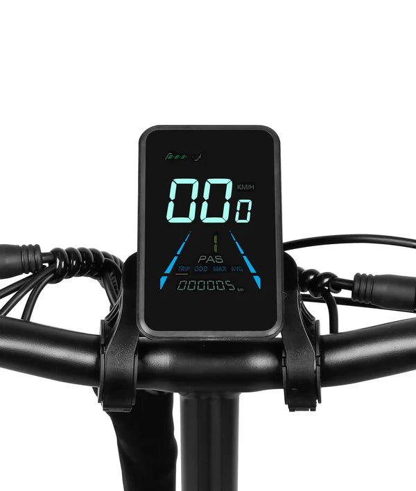 VICTRIP® T5 Foldable E-bike