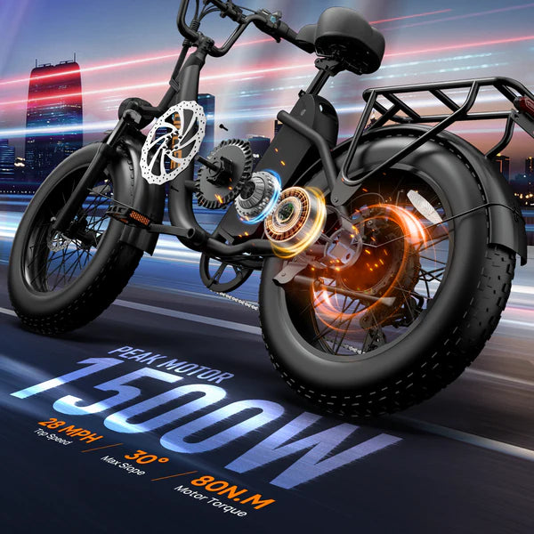 URLIFE E20 Pro Fat Tire Electric Bike