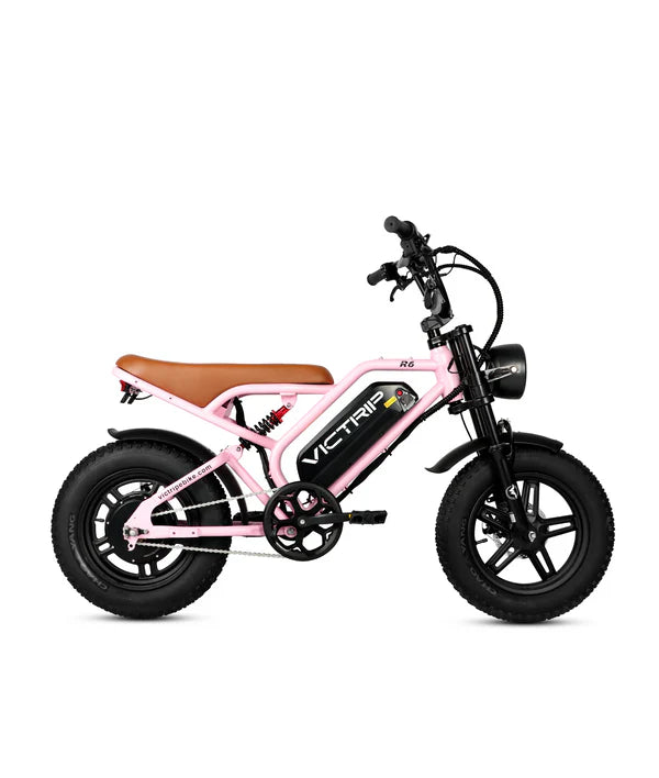 VICTRIP®R6 Off Road E-bike