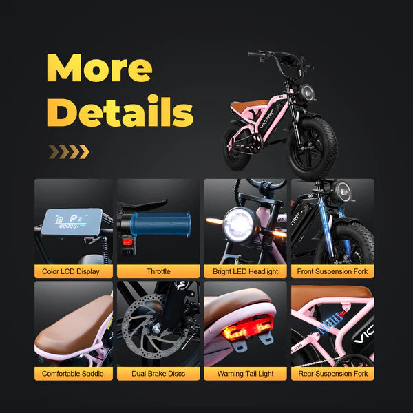 VICTRIP®R6 Off Road E-bike