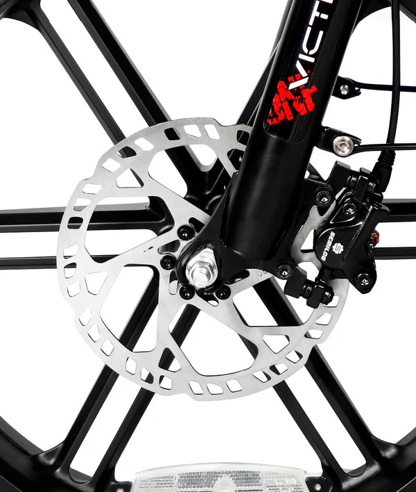 VICTRIP® T5 Foldable E-bike