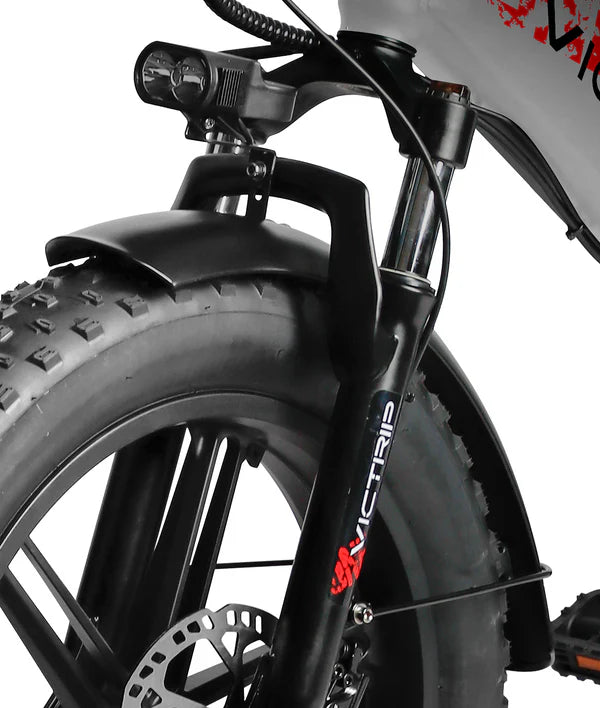 VICTRIP® T5S Foldable E-bike