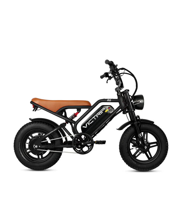 VICTRIP®R6 Off Road E-bike