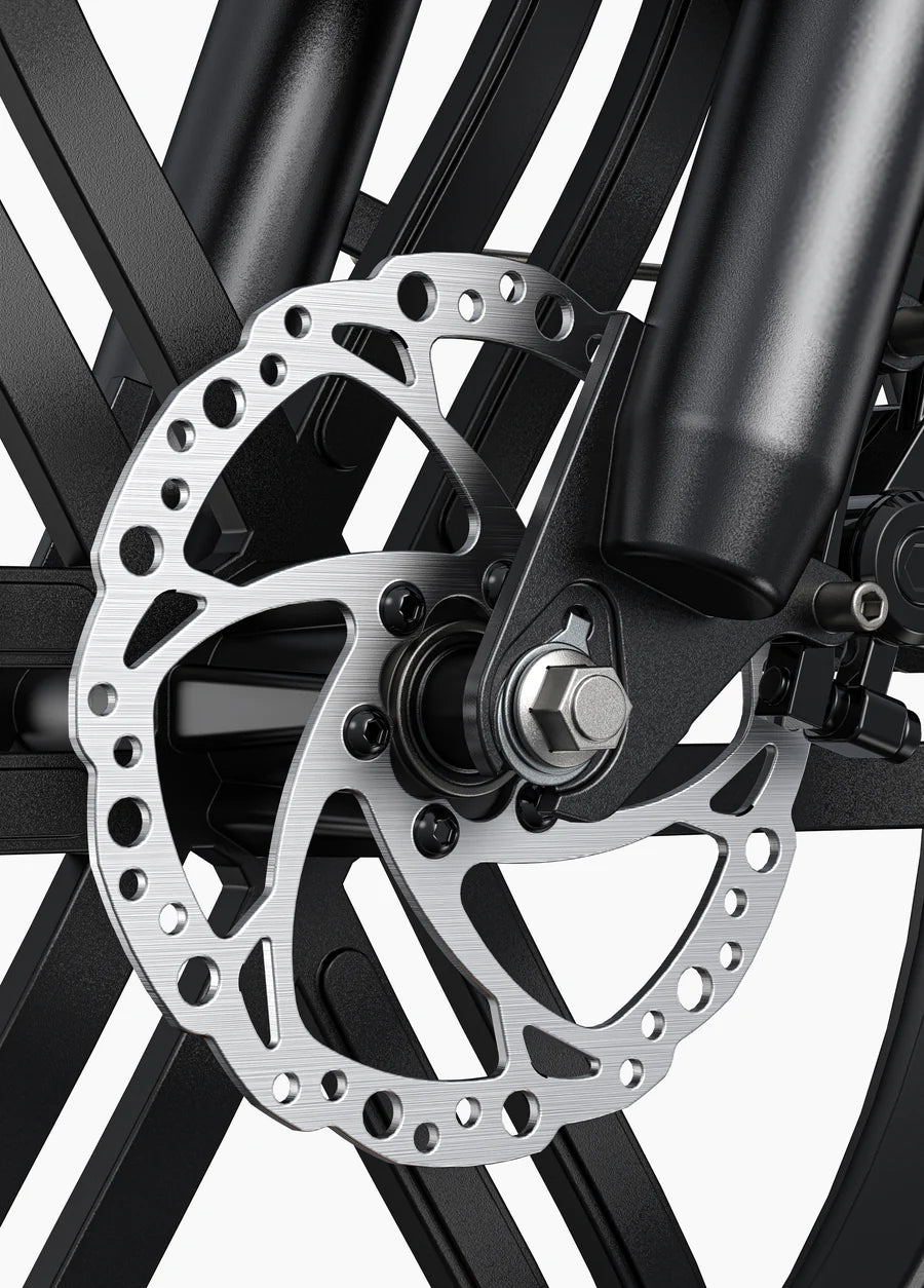 L20 Boost 250W 126 km Power-boost Torque Sensor Step-Thru E-bike