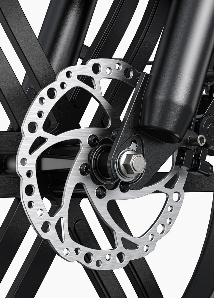 L20 Boost 250W 126 km Power-boost Torque Sensor Step-Thru E-bike