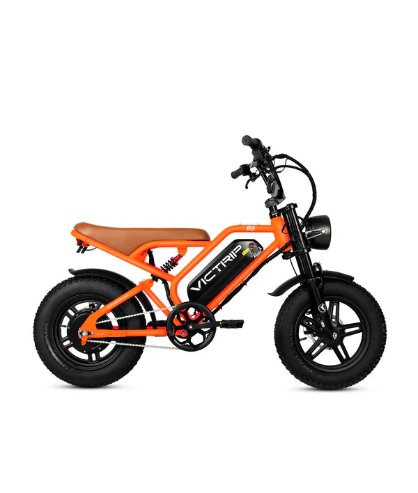 VICTRIP®R6 Off Road E-bike
