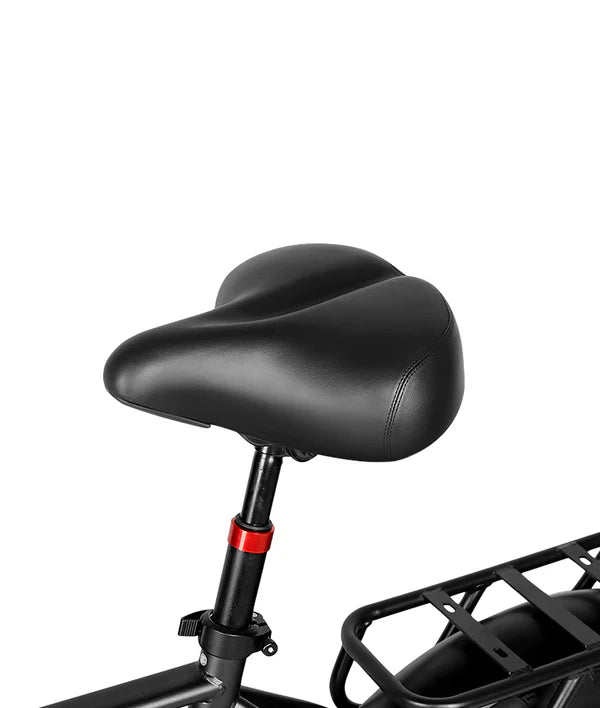 VICTRIP® T5 Foldable E-bike