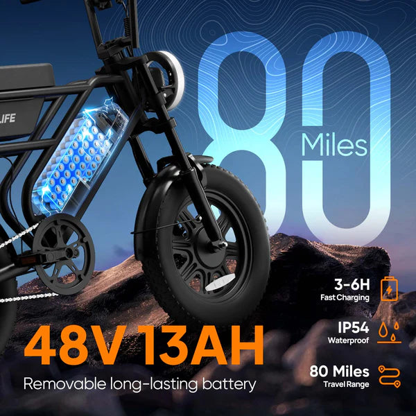 URLIFE T16 Electric Bike
