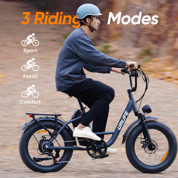 URLIFE E20 Pro Fat Tire Electric Bike