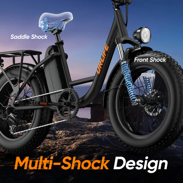 URLIFE E20 Pro Fat Tire Electric Bike