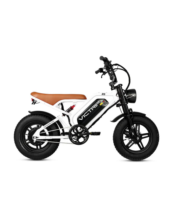 VICTRIP®R6 Off Road E-bike