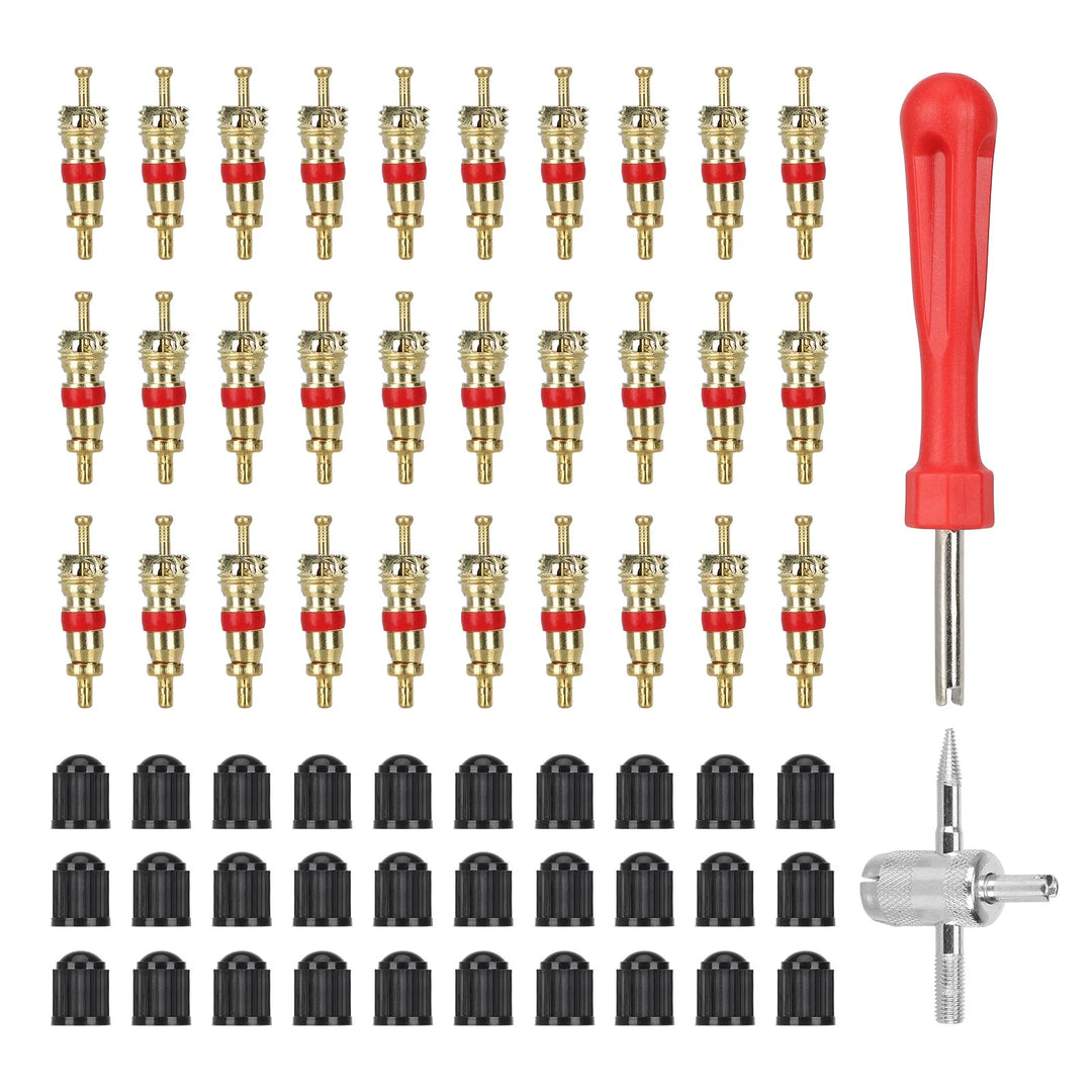 Set of 62 valve inserts + removal tool + wrench Tire Valve Wrench Set Car Tire Valve Core Wrench Set 4 in 1 Valve Repair and Installation Wrench Puller Removal Tool Key Electric Vehicle Bicycle Motorcycle Repair Tool