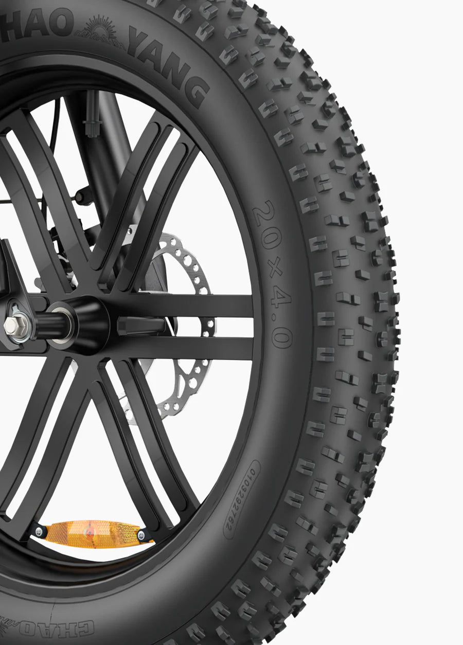 L20 Boost 250W 126 km Power-boost Torque Sensor Step-Thru E-bike