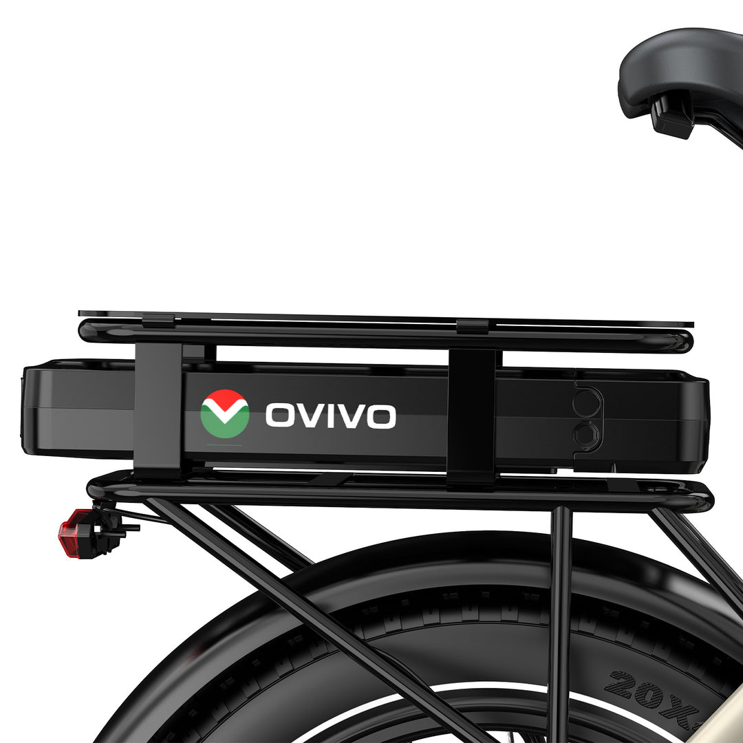 OVIVO C1 MAX DUAL BATTERY