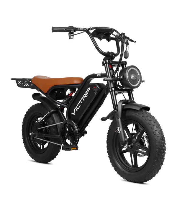 VICTRIP®R6 Off Road E-bike