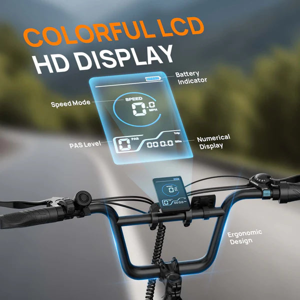 URLIFE E20 Fat Tire Commuting Electric Bike