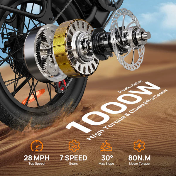 URLIFE E20 Fat Tire Commuting Electric Bike