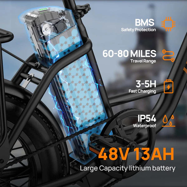 URLIFE E20 Fat Tire Commuting Electric Bike