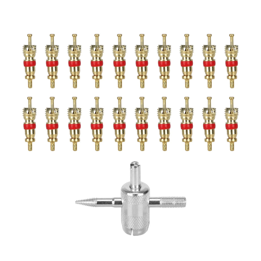 20 Nuclei Valvola + Strumenti di Rimozione Set Chiavi Valvola Pneumatici Chiave Valvola Pneumatici Auto Set Chiave 4 in 1 per Riparazione e Installazione Valvole Estrattore Chiave Attrezzo per Riparazione Veicoli Elettrici Biciclette Moto