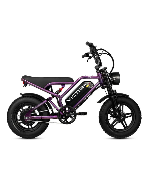 VICTRIP®R6 Off Road E-bike